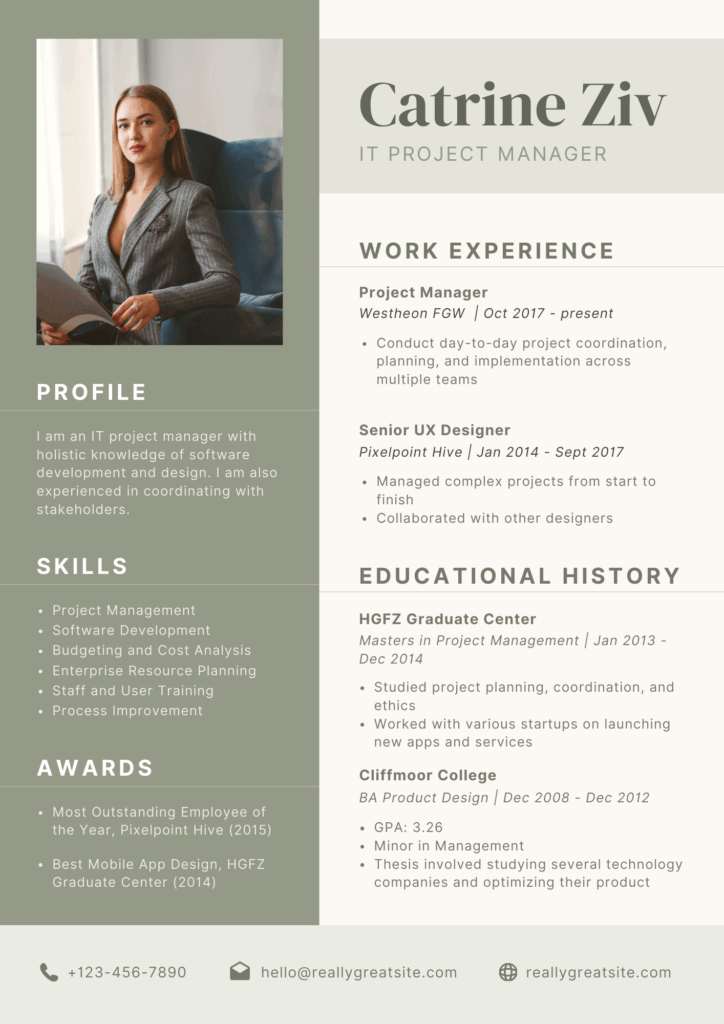 cv for IT Project Manager