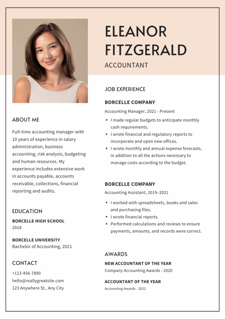 cv for accountant